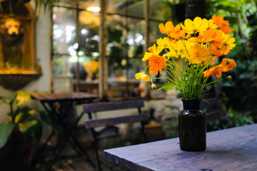Yellow and orange singapore daisy flower in a brown glass jar on wooden table and wooden chair with blurred garden background
