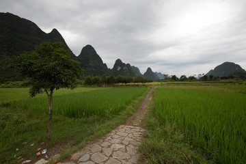 landscape in asia on a cloudy day