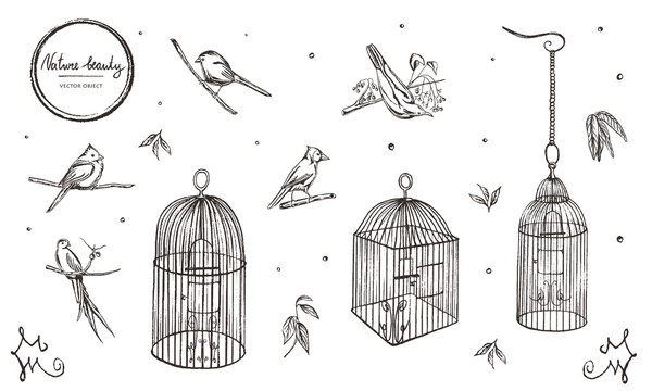 Vector illustration. Chalk style vector set. Birds and cages.