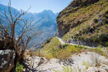 Colca Canyon. One of the deepest canyons in the world