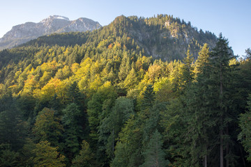 landscape in the alps with a lake