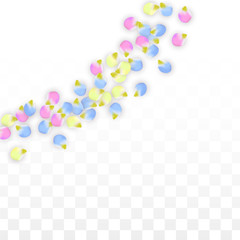 Vector Realistic Colorful Petals Falling on Transparent Background.  Spring Romantic Flowers Illustration. Flying Petals. Sakura Spa Design. Blossom Confetti. Design Elements for Wedding Decoration.