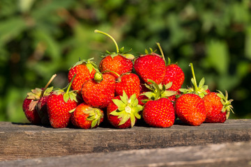 a lot of red ripe berries on an old board, a backdrop blurred green foliage of a tree selling ripe berries with vitamins