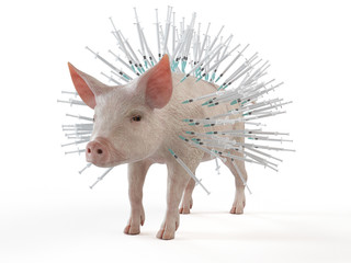 3d rendered illustration of syringes stuck in a pig © Sebastian Kaulitzki