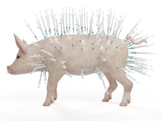 3d rendered illustration of syringes stuck in a pig