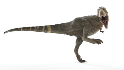 Obraz na płótnie Canvas 3d rendered illustration of a T-rex