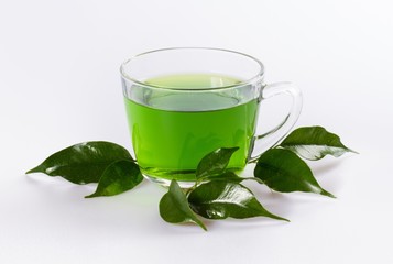 Green Tea Leaves and Green Tea in Cup