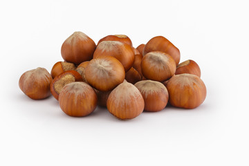 isolated hazelnut on white