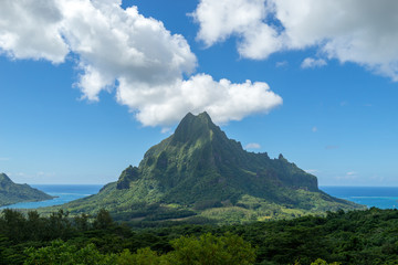 Moorea Belvedere