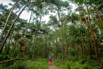 A man walking through a forest