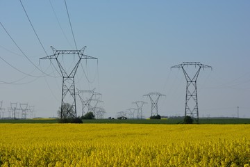 Electricity pylons in farmland, France. 