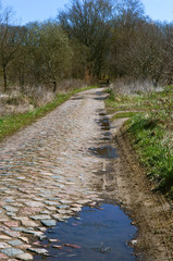 Old German paving stones. The road is paved with stone. Cobblestone sidewalk.
