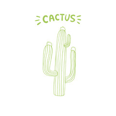 Mexican Cactus with Spines or Thorns and Flowers. Isolated Doodle Style Line Art Element for Coloring Book or Page Design. Edible Esculent Cacti Like Saguaro, Indian Fig or Mammillaria.