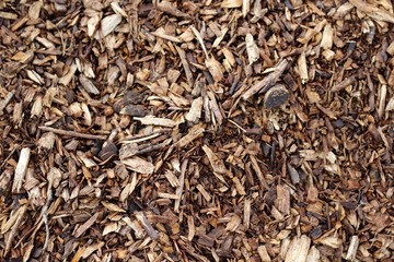 A close view on the brown wood clip mulch texture.