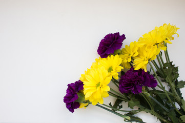 chrysanthemums and carnations