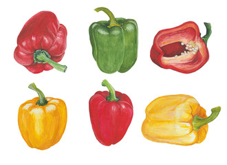 Yellow, green and red peppers in watercolor