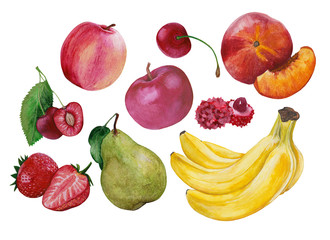 Fruits in watercolor