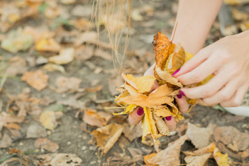 autumn abstract background