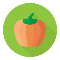 Pumpkin icon