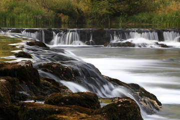 Fototapeta premium River Dobra in Croatia