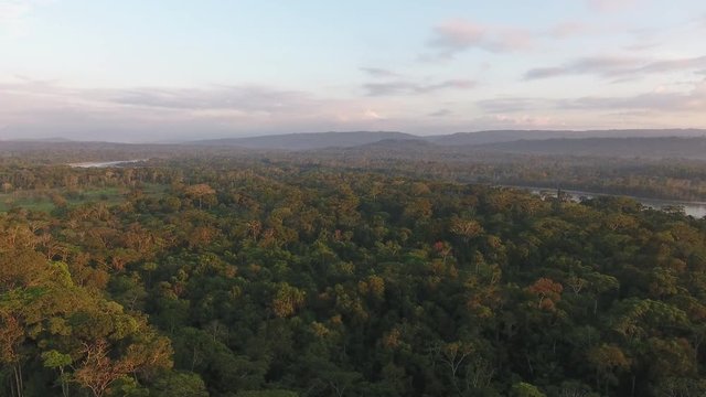 Aerial shot of tropical rainforest illuminated by the last rays of the evening sun. Napo province in the Ecuadorian Amazon. 