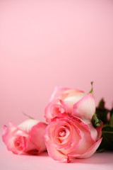 Bunch of pink roses on concrete background. Surprise Valentine's Day, soft color toned. Copy space