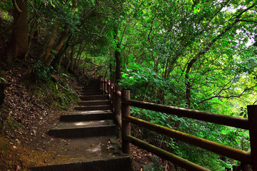 山道