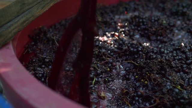Winemaking. Mixing "cap" of grape skins. Steadicam shoot.