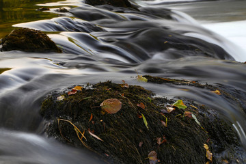 River Dobra in Croatia