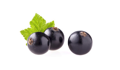 Black currant with leaf on White Background