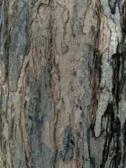 background, dark, wood, texture, vintage, design, tropical, pattern, nature, black, space, abstract, gold, blue, bright, spring, bokeh, light, beautiful, color, summer, natural, white, decoration, ret