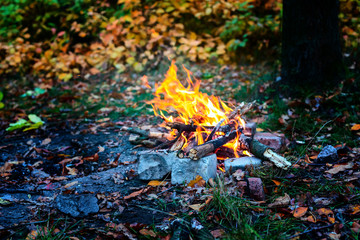 Bright bonfire in a autumn forest