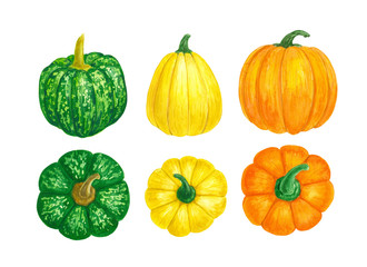 Collection of pumpkins painted with watercolors, elements for design.