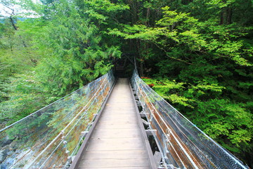 阿寺渓谷　吊り橋