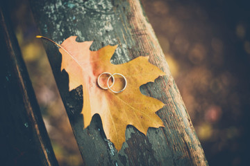 Two wedding rings on autumn yellow leaf on green wooden rustic background in the park. Close up.