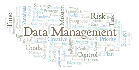 Data Management word cloud, made with text only.