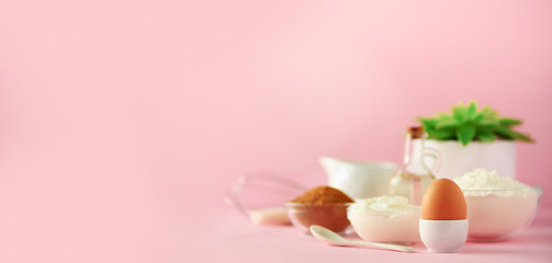 Healthy baking ingredients - butter, sugar, flour, eggs, oil, spoon, brush, whisk, milk over pink background. Banner. Bakery food frame, cooking concept with succulent plant. Copy space.
