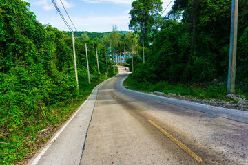 Rural country slope road with green tree forest