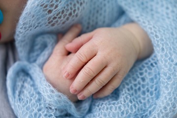 hands of a newborn baby. hands on blue . children's hands