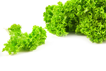 Obraz premium Green leaf salad close up