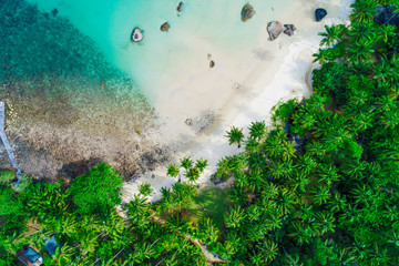 Amazing white sand beach sea shore with coconut palm tree shadow in morning.