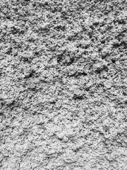 Gray plaster coat on the wall as a background