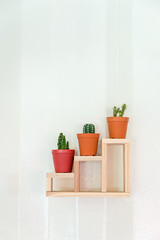 Cactus plants in a pot on wooden shelf gardening decoration with white metal wall