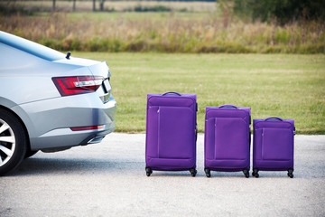 suitcases next to the car