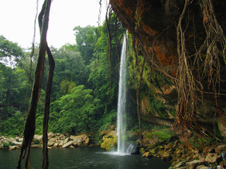 Misol-Ha waterfall, Chiapas, Mexico