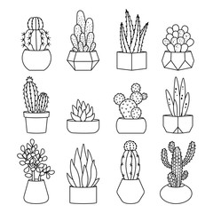 Cartoon line style cactus and succulents vector set. Decirative flowers and plants in pots. Isolated icons illustration