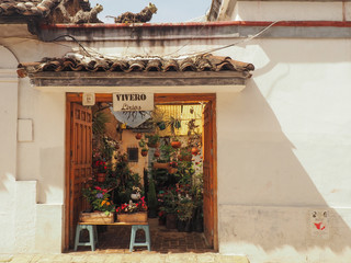 Market garden in San Cristobal de las casas, Mexico