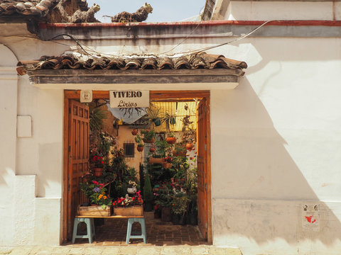 Market garden in San Cristobal de las casas, Mexico