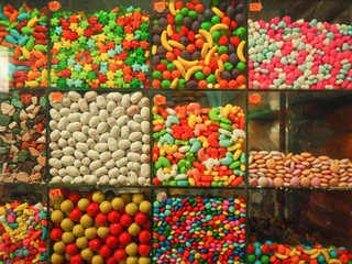 Green house wall with plants San Cristobal de las casas in Mexico