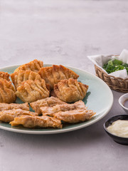 Home made chinese and korean fried chicken dumplings served on plate with soy sauce and mayonnaise